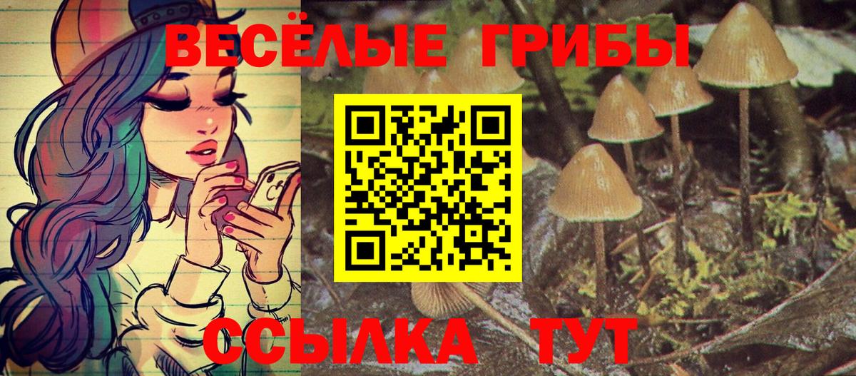 Псилоцибиновые грибы MAGIC MUSHROOMS Ленинск-Кузнецкий