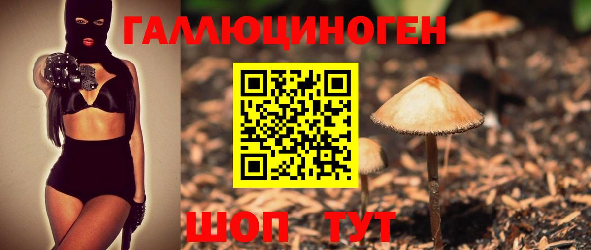Галлюциногенные грибы Magic Shrooms  Вход с VPN  Ленинск-Кузнецкий  Псилоцибиновые грибы GOLDEN TEACHER 